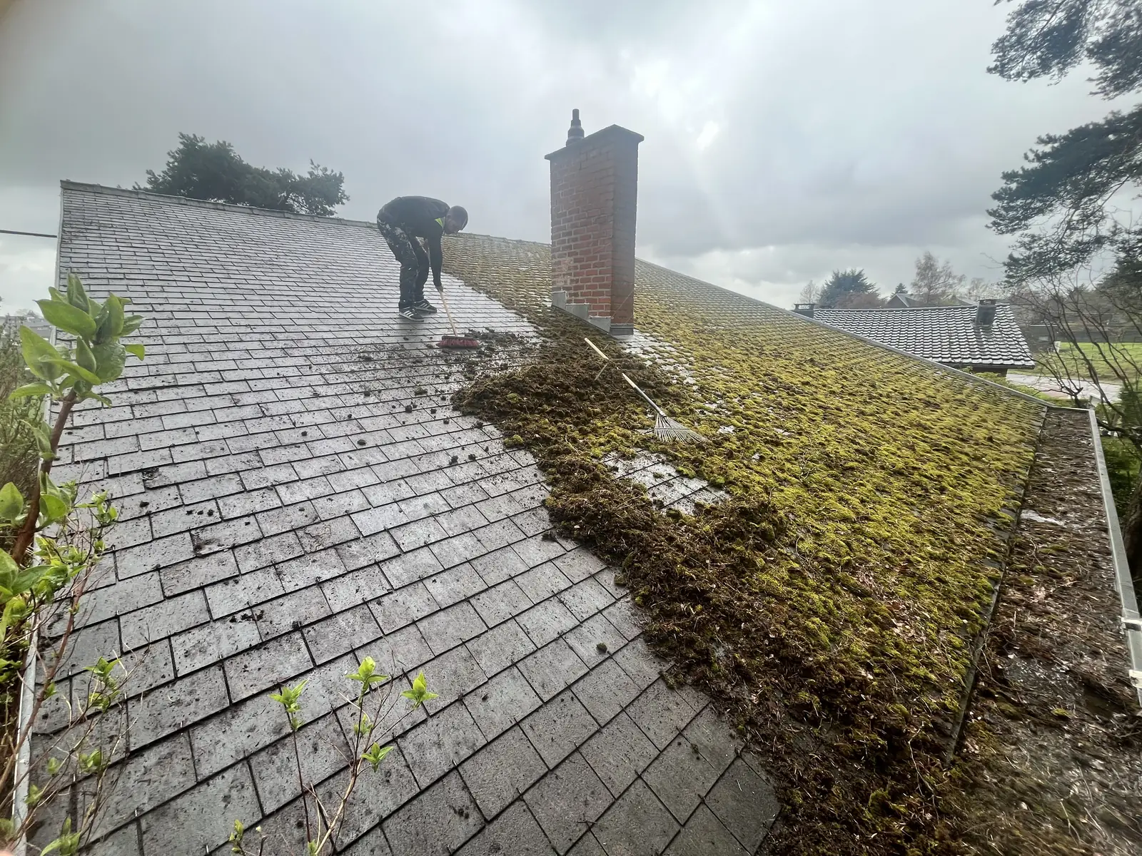 Toiture en cours de démoussage, mousse retirée sur la moitié du versant — Richard Toitures, couvreur en Indre-et-Loire